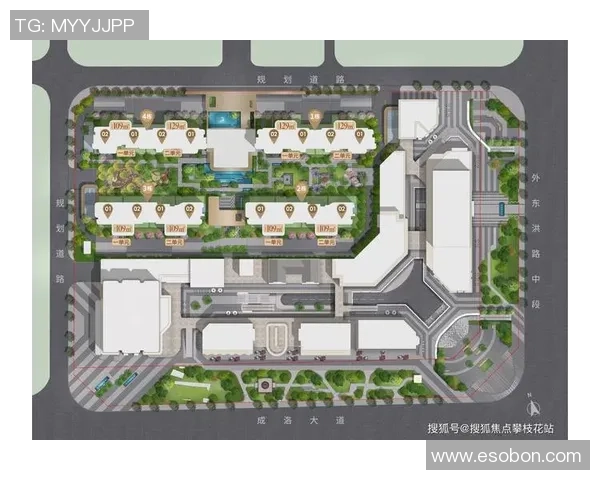 上海小赛虎足球星河湾周边发展规划与未来潜力分析