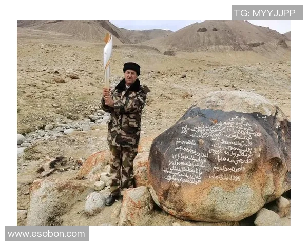 走进足球巨星的璀璨人生与绿茵传奇背后的奋斗故事