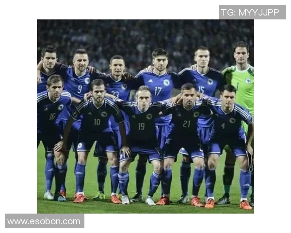 波黑足球历史十大球星盘点 从传奇到新星的崛起与辉煌